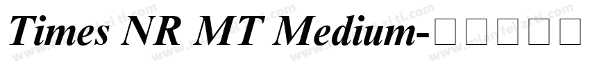 Times NR MT Medium字体转换
